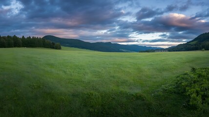 Expansive green meadow under a dramatic cloudy sky with lush mountains and forest at dusk