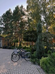 Fototapeta premium bicycles in the park
