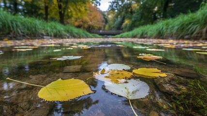 Serene autumn river scene with colorful fallen leaves floating on the water reflecting lush foliage and a bridge.