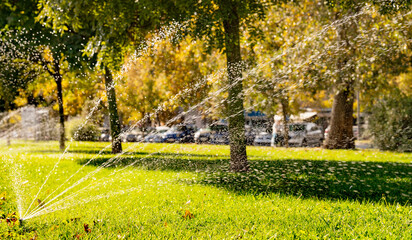Lawn watering system and green grass