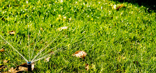 Lawn watering system and green grass