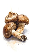 Watercolor Shiitake Mushrooms - A Culinary Delight in Artistic Detail.