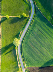 Aerial view of winding road in Ponidzie region, surrounded by picturesque farmlands (crop fields) during sunrise, Poland