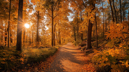 Obraz premium Sunlit path in a park before sunset