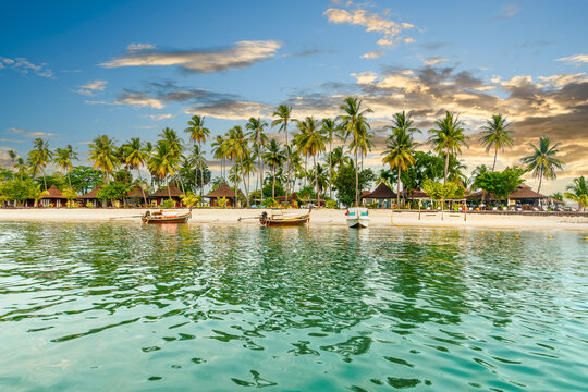 Bungalow resort on a tropical, palm-fringed beach