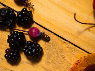 Autumn leaves and berries on rustic wooden background 