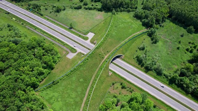 Exploring the lush scenery around the highway and underpass on a sunny day