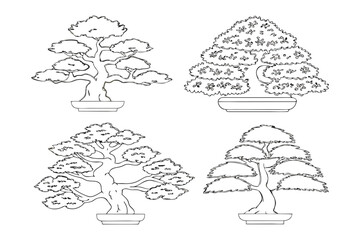 Bonsai collection: An assortment of bonsai trees, each meticulously cultivated and shaped, showcasing the art of miniature landscaping. 