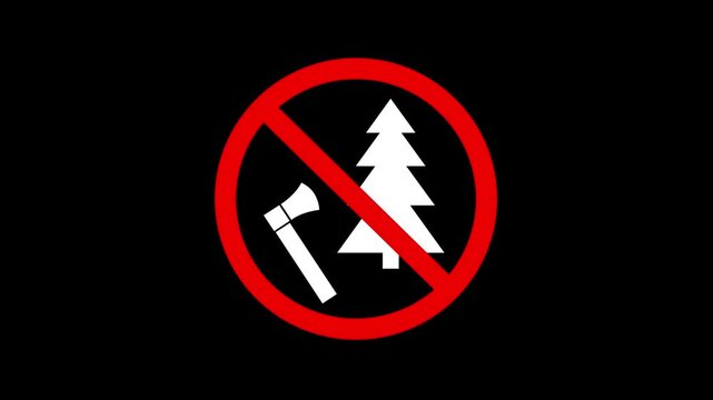 Don't Cut the Tree Campaign Video Perfect for Education. tree no cut icon animation. 4k motion video.
