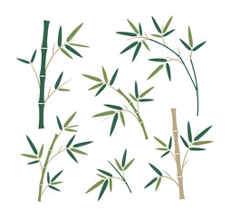 Fototapeta premium Bamboo branches with green leaves illustration design set