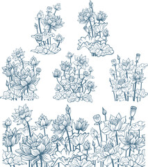 Set of vector floral compositions with lotus flowers, outline drawing
