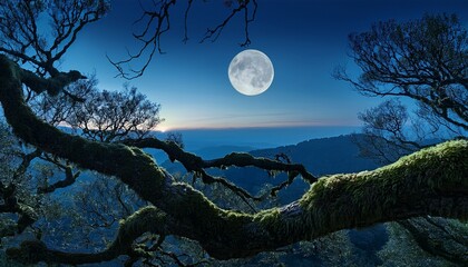 majestic moonlit landscape viewed through ancient moss covered tree branches a serene natural vista at twilight