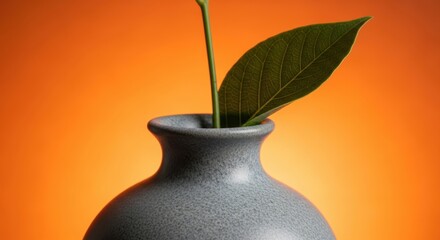 Close-up of leaf in gray vase against orange background