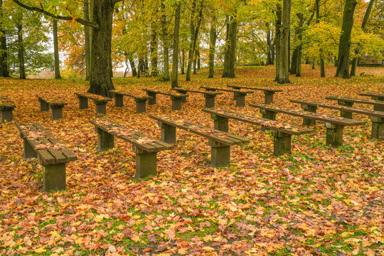 The park benches are covered with leaves - Powered by Adobe