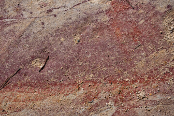 coca de color rojo en un camino de tierra