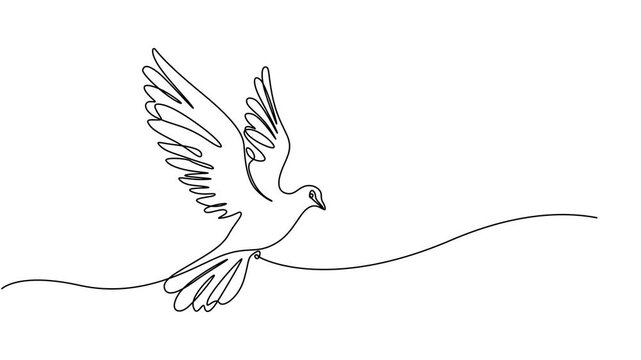 Flying dove continuous one line drawing animated video. Love and freedom bird symbol animation, Full length one line animation, Animated self drawing of single continuous line draw flying dove of 4k.