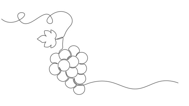 Self drawing line animation healthy organic grapes Fresh tropical fruitage continuous one single line drawn concept video, Fresh tropical fruitage concept for fruit orchard garden icon. Full length on