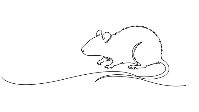 Self drawing animation one continuous line draw, logo, rat, mouse, One line drawing animation of or rat animal, Abstract rat, continuous one line art hand drawing, minimalism animation simplicity one.