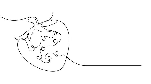 Strawberry, one line drawing animation. Video clip with alpha channel, Self drawing line animation organic strawberries fruit Fresh berries fruitage continuous one single line drawn concept video pro.