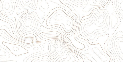 Topographic map pattern background vector. Abstract mountain terrain map background with abstract shape line texture.creative discovery White wave grid stripe line map topography.