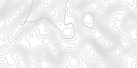 
Abstract Topographic map background with wave line. White wave paper curved reliefs abstract background. Vector illustration.Black and white lines seamless Topographic map patterns.