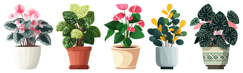 PNG Colorful potted plants illustration, element set on transparent background