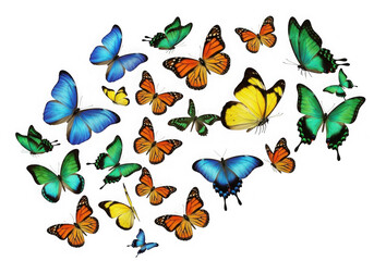 Naklejka premium Vibrant collage of colorful butterflies fluttering in a dreamlike composition isolated on transparent background