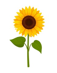 Vibrant Sunflower Illustration - A Symbol of Summer and Happiness.