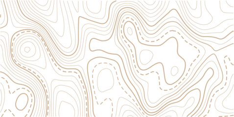 Topographic map background geographic line map with elevation assignment.White wave paper curved reliefs abstract background. Vector illustration. wave Line topography map contour background.