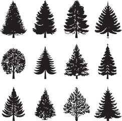 Enchanting Christmas Tree Vector Pack – Sparkling Festive Illustrations