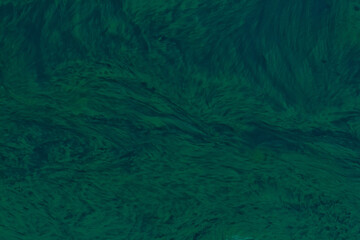 Vibrant green water surface reflecting nature's beauty in sunlight