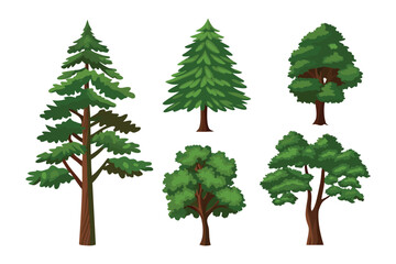 Diverse Trees Collection: a captivating array of different tree species, each a unique embodiment of natural beauty, standing tall and proud in their own individual splendor