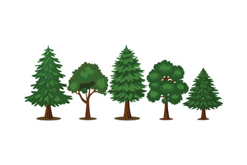 Fototapeta premium Variety of Tree: A collection of various tree showcases diverse types, highlighting their unique shapes and verdant foliage.