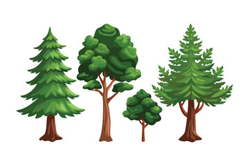 Obraz premium Variety of Tree collection: Illustrative display of multiple tree type including pine, oak, and birch. show the difference type in the natural environment.