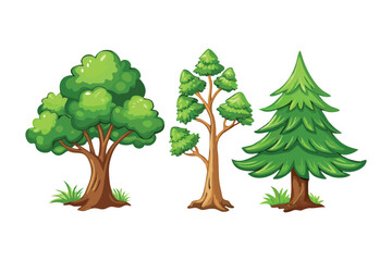 Diversity of Trees: Illustration of diverse tree types. The illustration showcases a variety of different trees. 