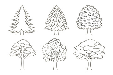 Fototapeta premium Different Tree Types: A variety of detailed tree illustrations in black line art. show tree diversity