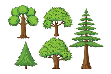 Fototapeta premium Diversity of the Green: A collection of various trees, showcasing their unique shapes and textures, symbolizes the rich tapestry of nature and its abundant life.