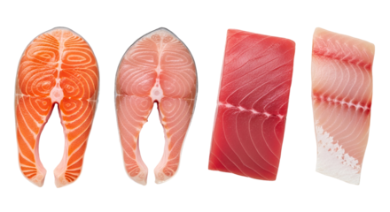 Four different types of raw fish steaks and fillets isolated on transparent background