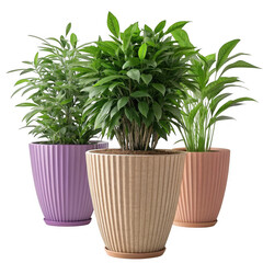 Obraz premium 3d potted plants with textured pots isolated on transparent background