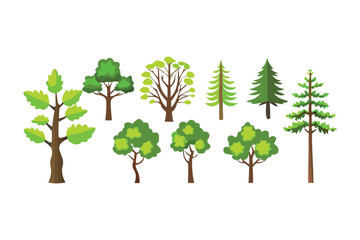 Fototapeta premium Diverse Trees Collection: An illustration showcasing a variety of tree species, each with unique features and shapes, capturing the diversity of nature and woodland habitats.