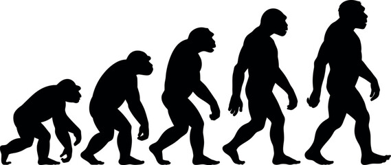 The evolutionary journey of humanity is depicted by silhouettes of hominids moving forward.
