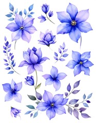 Watercolor Clematis Flower Collection - Delicate Floral Design Elements.