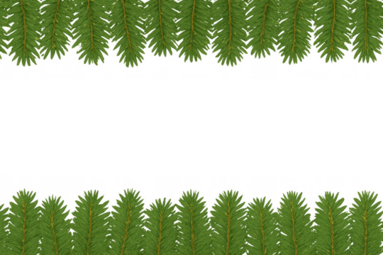 Green fir tree branches creating a festive christmas and winter holiday border, perfect for seasonal designs. Transparent background