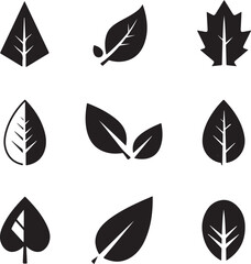 Fototapeta premium Collection of abstract leaf icons in black and white design