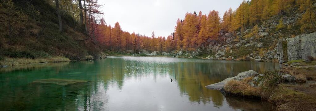  Anamorphic Lens - Fantastic foliage at the Witches' Lake in Crampiolo on Alpe Devero