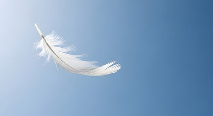 White feather floating gently in clear blue sky background for freedom and lightness concept image