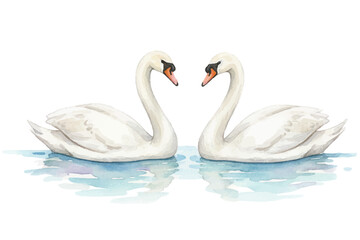 Two swans vector illustration, pair of white birds facing each other on calm water