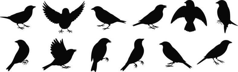 Collection of bird silhouettes in flying and standing poses, black wildlife vector illustration, nature animal design for logo, decoration, pattern, and art projects