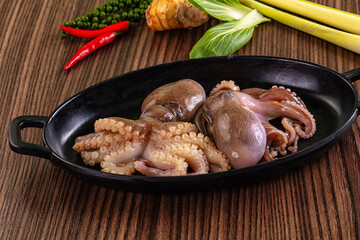 Delicous raw octopus for cooking