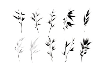 Elegant abstract sprigs of laurel or olive leaves with subtle highlights isolated on a dark canvas isolated on transparent background